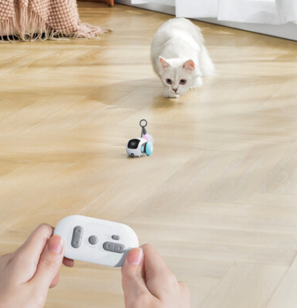 Jouet interactif intelligent pour chat