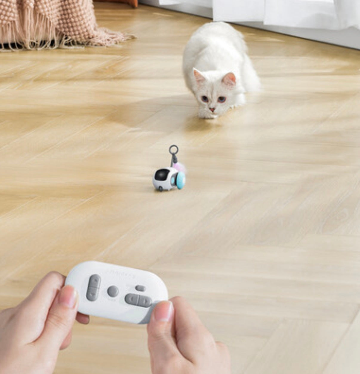 Jouet interactif intelligent pour chat