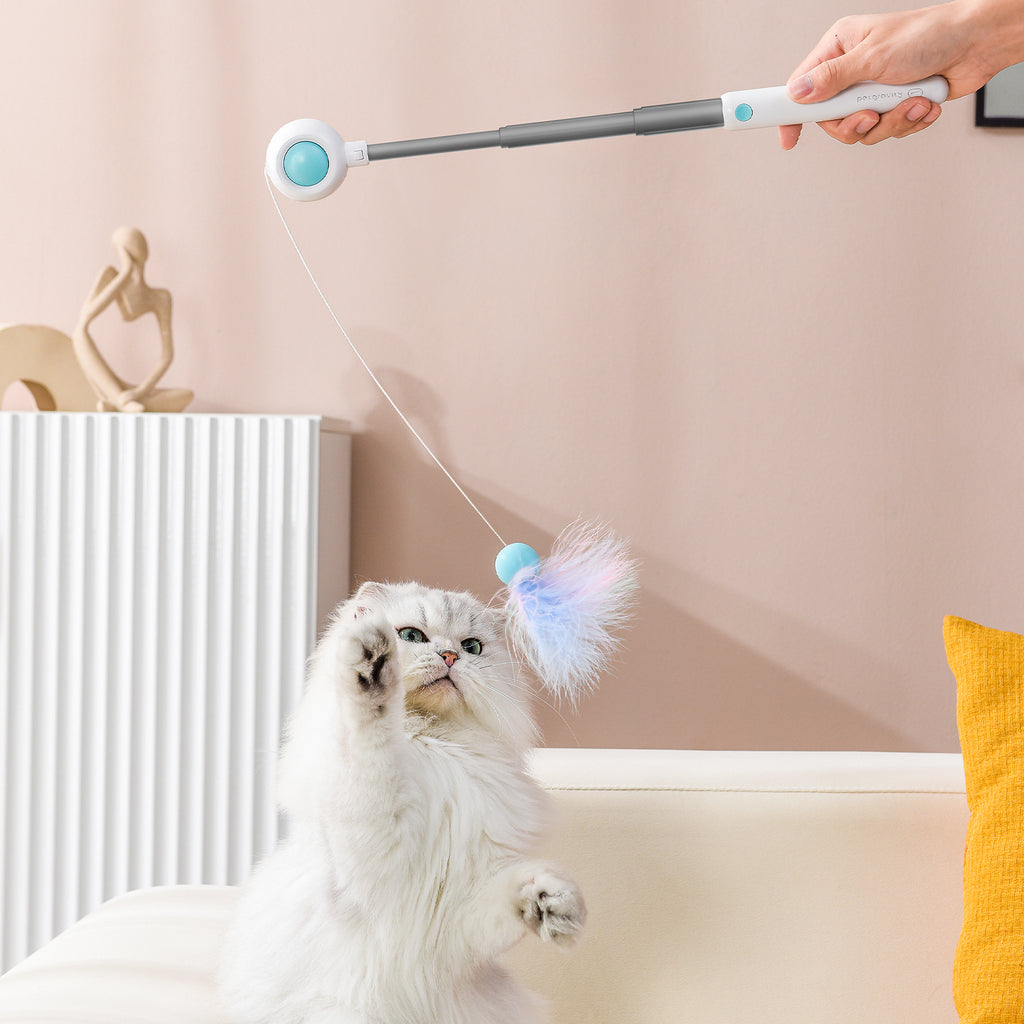 Canne à pêche rétractable pour chat - Bleu
